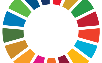 Contributing to the Sustainable Development Goals