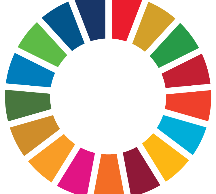 Contributing to the Sustainable Development Goals